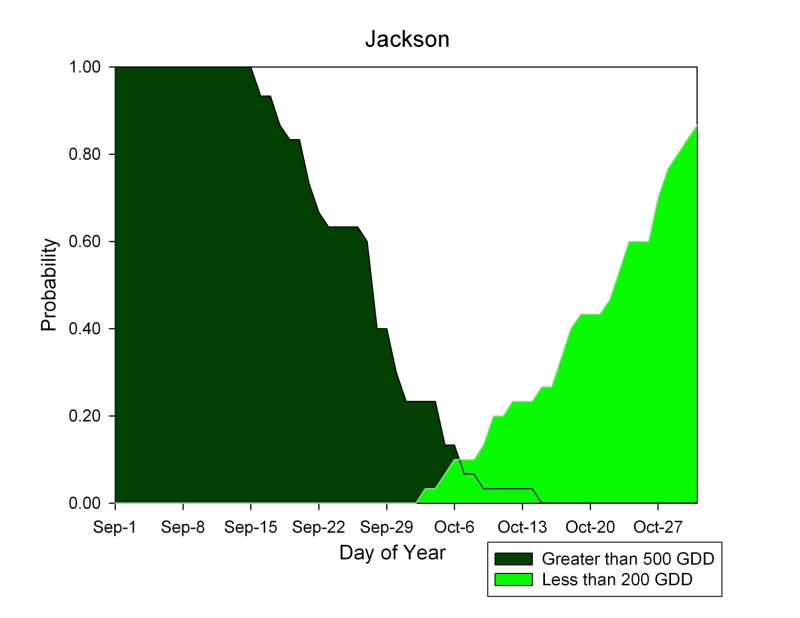 jackson
