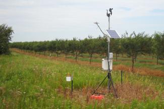 Weather instruments at Seaquist Orchards, Sister Bay